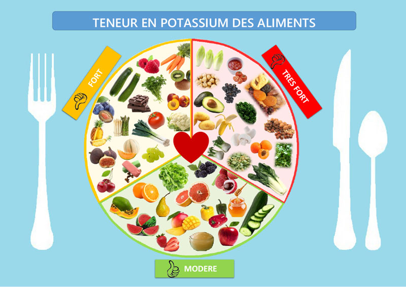 Sel de Régime  Sel diététique au Potassium